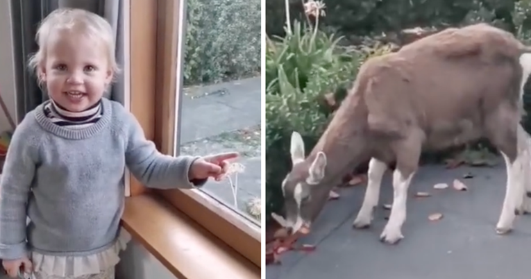 Djevojčica uočila kozu u svom vrtu pa oduševila internet reakcijom