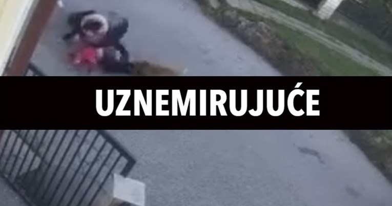 Pas napao prvašića ispred škole u Vrapču. Vlasnik: Nije on agresivan, samo je zaigran