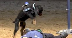 Ovaj policijski pas može oživjeti čovjeka, pogledajte snimku