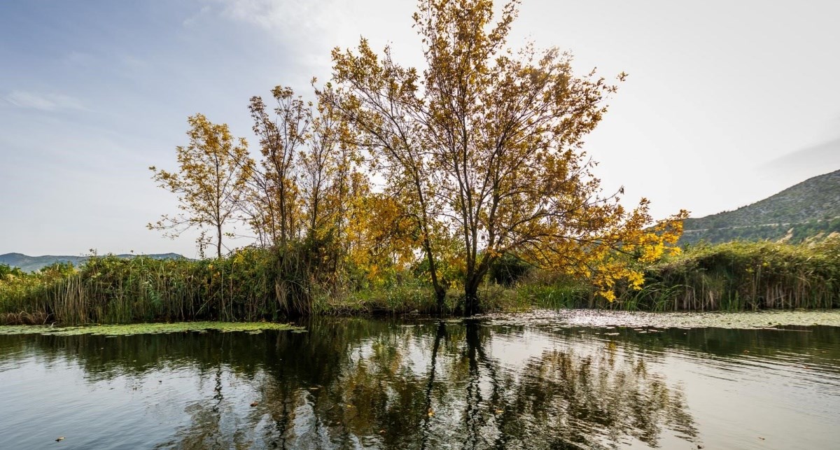 FOTO Jesen je najljepša u dolini Neretve, pogledajte ove slike