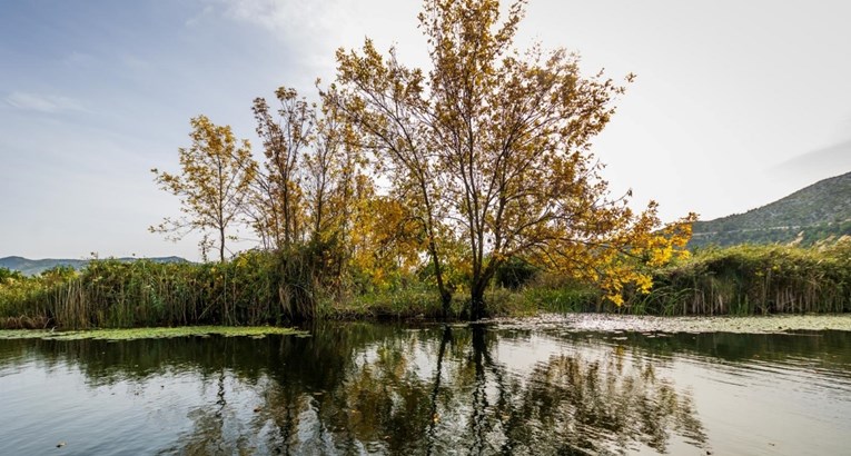FOTO Jesen je najljepša u dolini Neretve, pogledajte ove slike