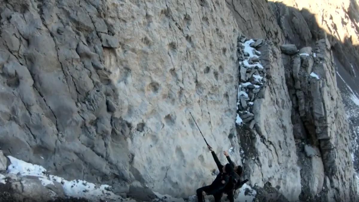 Tisuće otisaka dinosaura starih 210 milijuna godina otkriveno u Italiji