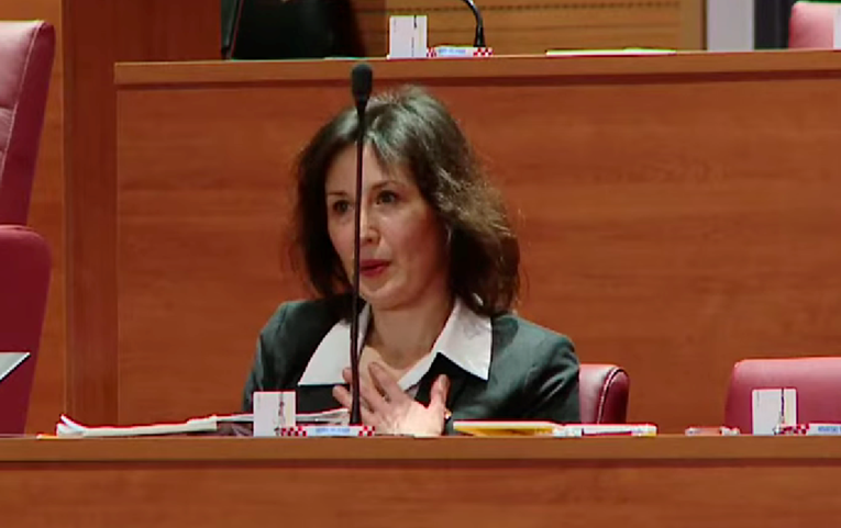 VIDEO Daliju Orešković stresla struja u Saboru