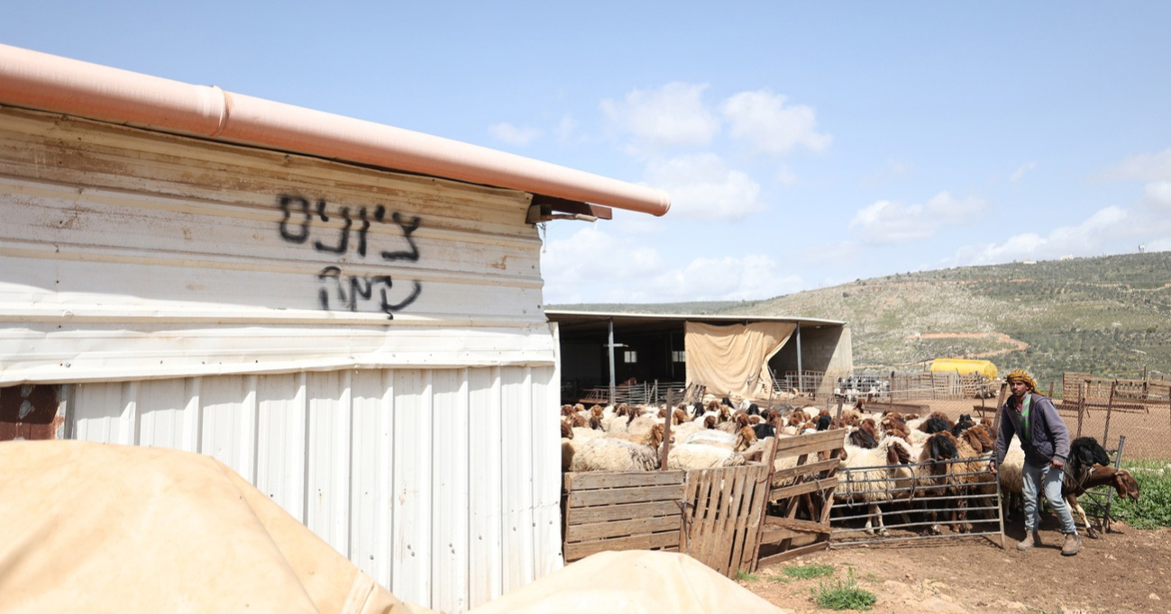 Kako izraelski doseljenici koriste ovce za otimanje zemlje Palestincima