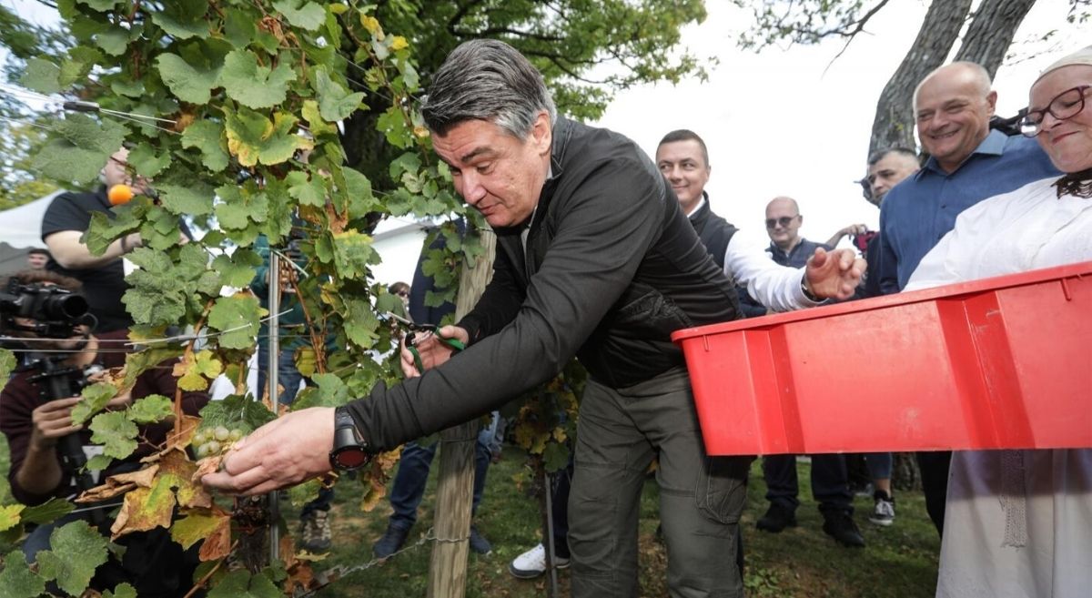 Milanović: Hrvati u BiH jesu najmalobrojniji, ali bogami neće biti manjina