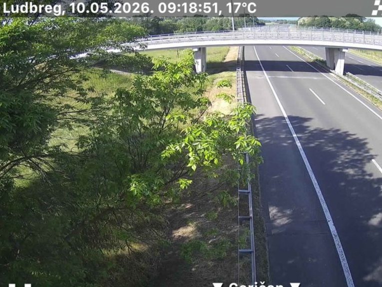HAK: Vozači, oprez! Uočen pas na A4