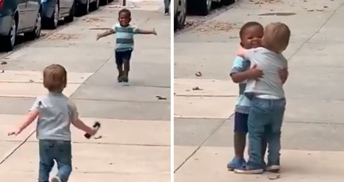 Video dva preslatka frenda ponovno je preplavio internet, za to postoji važan razlog