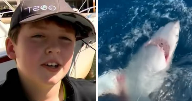 VIDEO Dječak običnom udicom ulovio velikog bijelog morskog psa od 300 kilograma