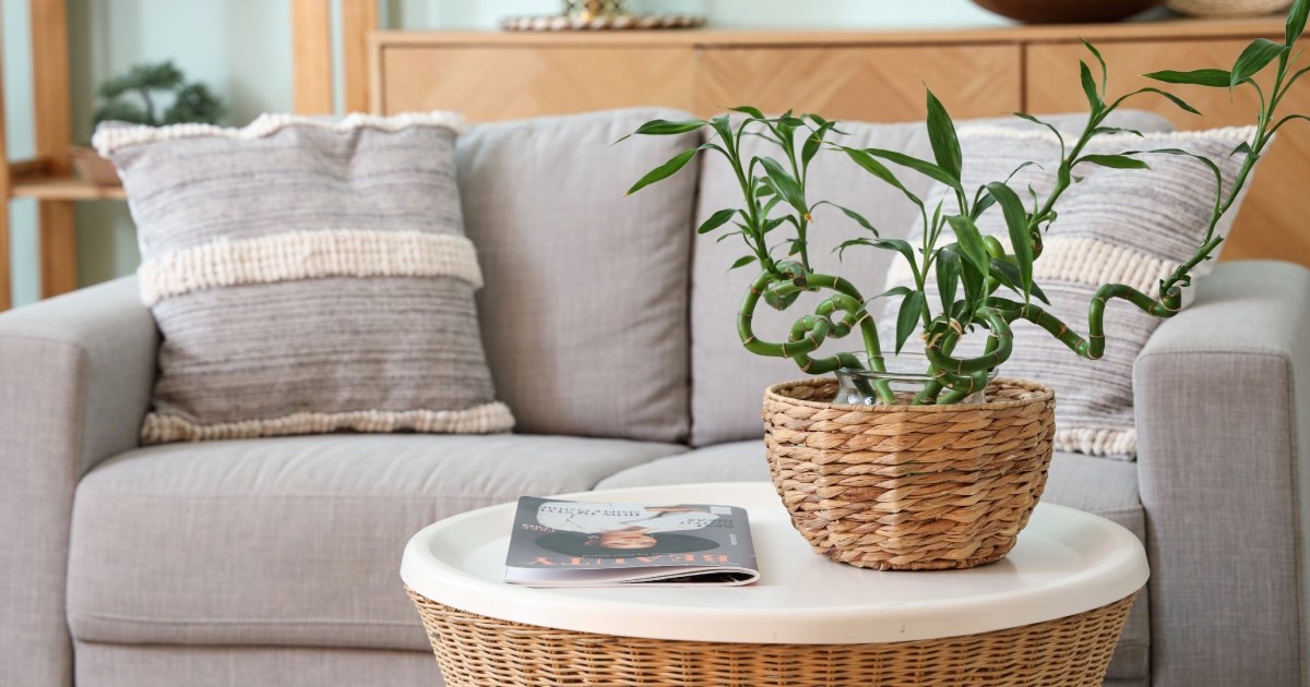 Kako urediti stolić za kavu? Zaboravite na besmislene ukrase