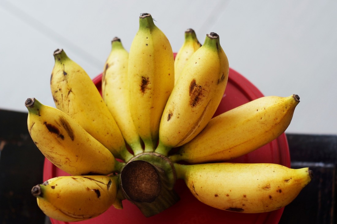 U dućanima se pojavljuju mini banane - u čemu je fora?