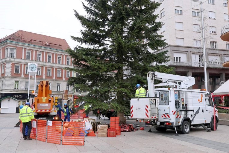 Uskoro kreće božićna čarolija, u Zagrebu počelo ukrašavanje bora visokog 16 metara 