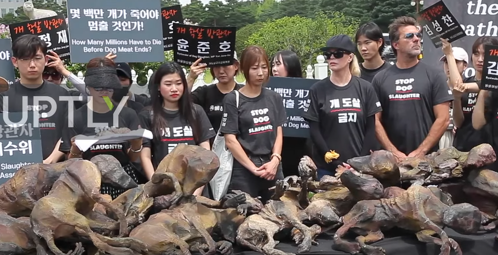 Poznata glumica prosvjedovala protiv konzumacije psećeg mesa u Južnoj Koreji