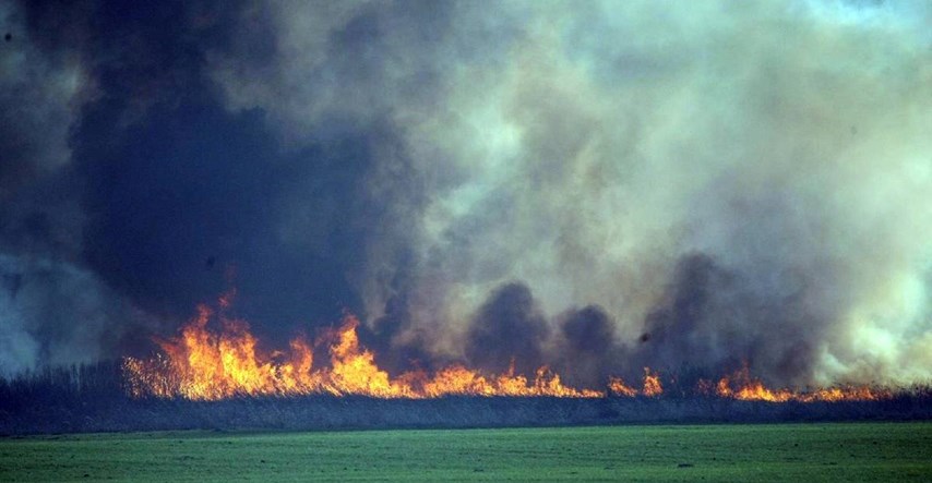 Policija objavila što je uzrokovalo požar u Kopačkom ritu