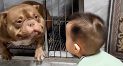 Prvi susret dječaka i psa iz azila raznježio je tisuće, snimka će vam otopiti srce