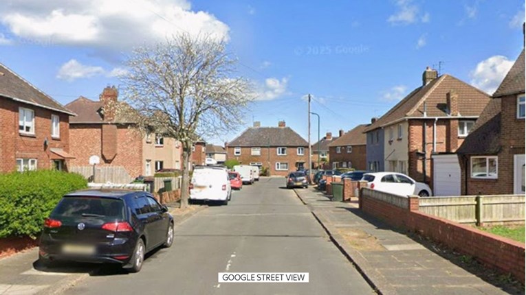 Pas usmrtio tromjesečnu bebu u Engleskoj