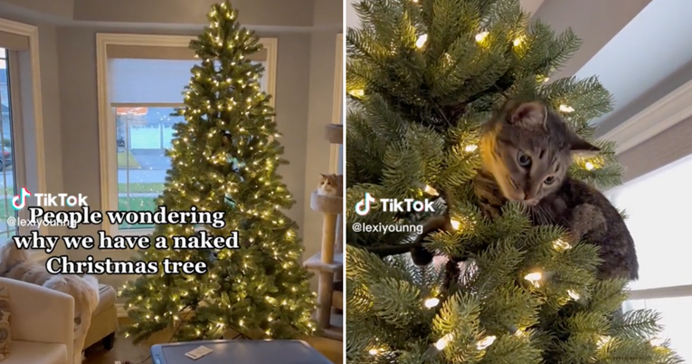 Obitelj godinama ne stavlja ukrase na bor zbog najslađeg mogućeg krivca