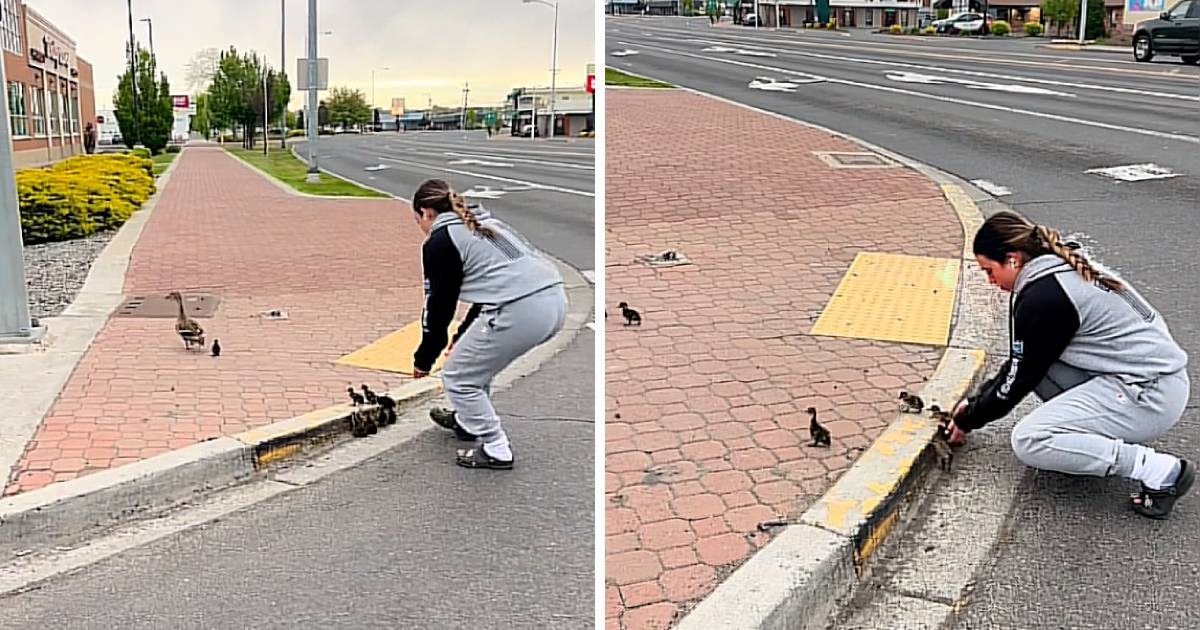 Pačići se nisu mogli popeti na nogostup, pogledajte što je napravila prolaznica