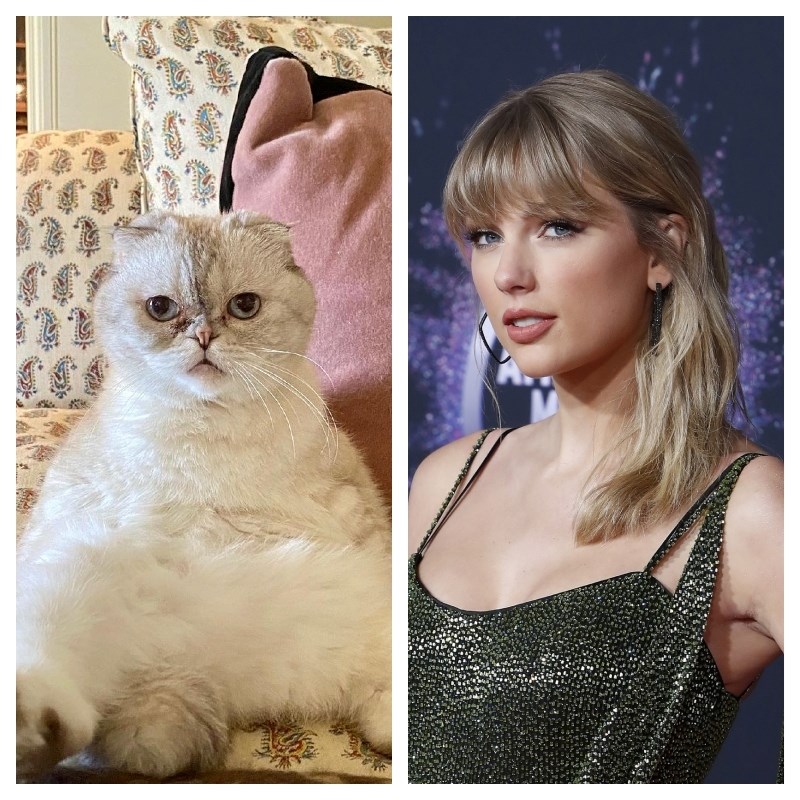 Mačka Taylor Swift vrijedi 91.5 milijuna eura 