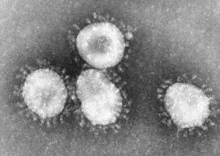 Ovi smrtonosni virusi nestali su bez traga