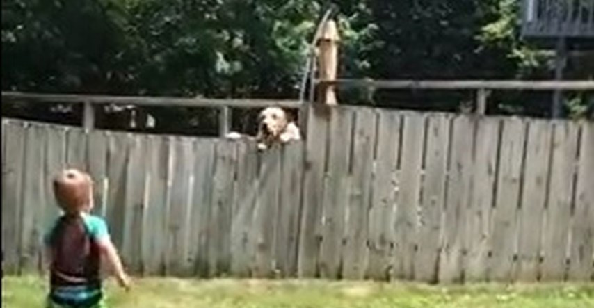 Dvogodišnjak i pas svakog se dana igraju loptom iako ih dijeli ograda