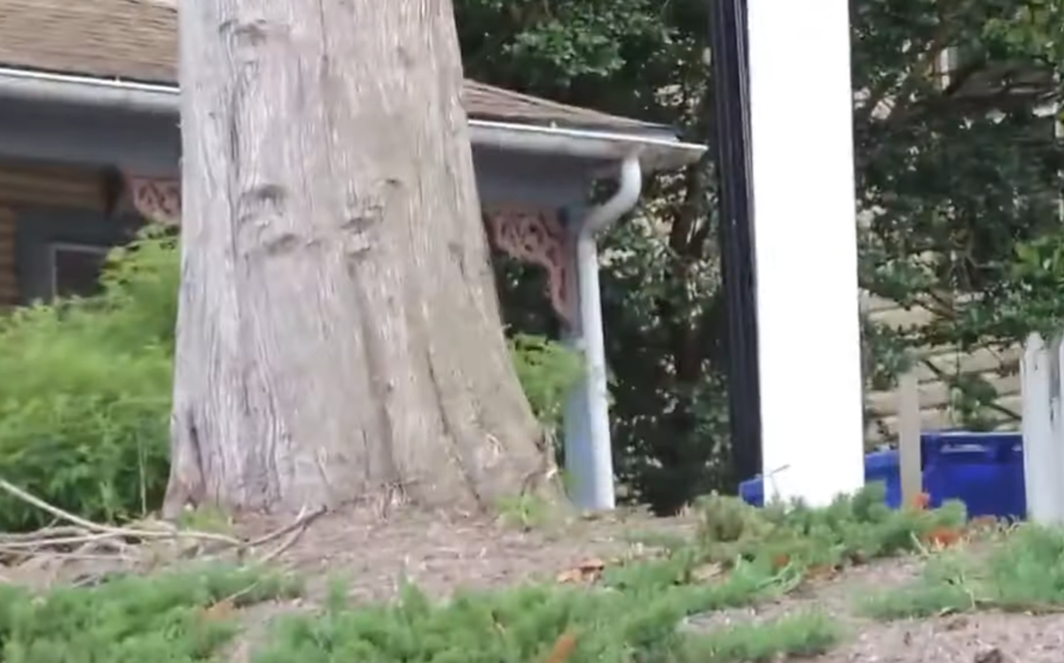 Vratila se s posla i nije mogla vjerovati što je zatekla na krovu kuće