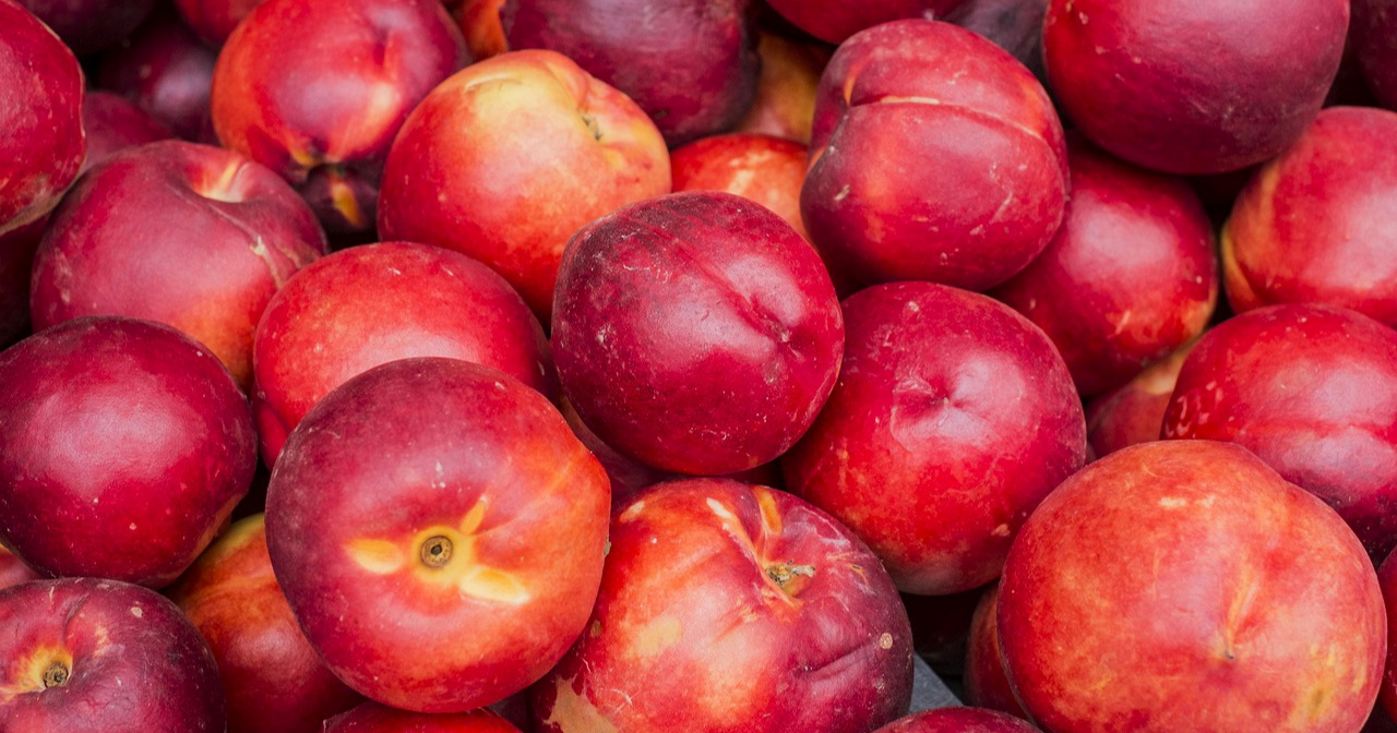 Akcija Uskoka: Hrpu kokaina skrivali pod nektarinama i vozili ga po EU