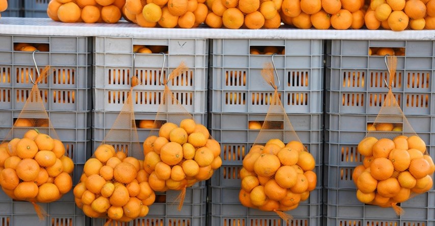 U Vukovar stiglo 11 tona mandarina iz Dubrovačko-neretvanske županije