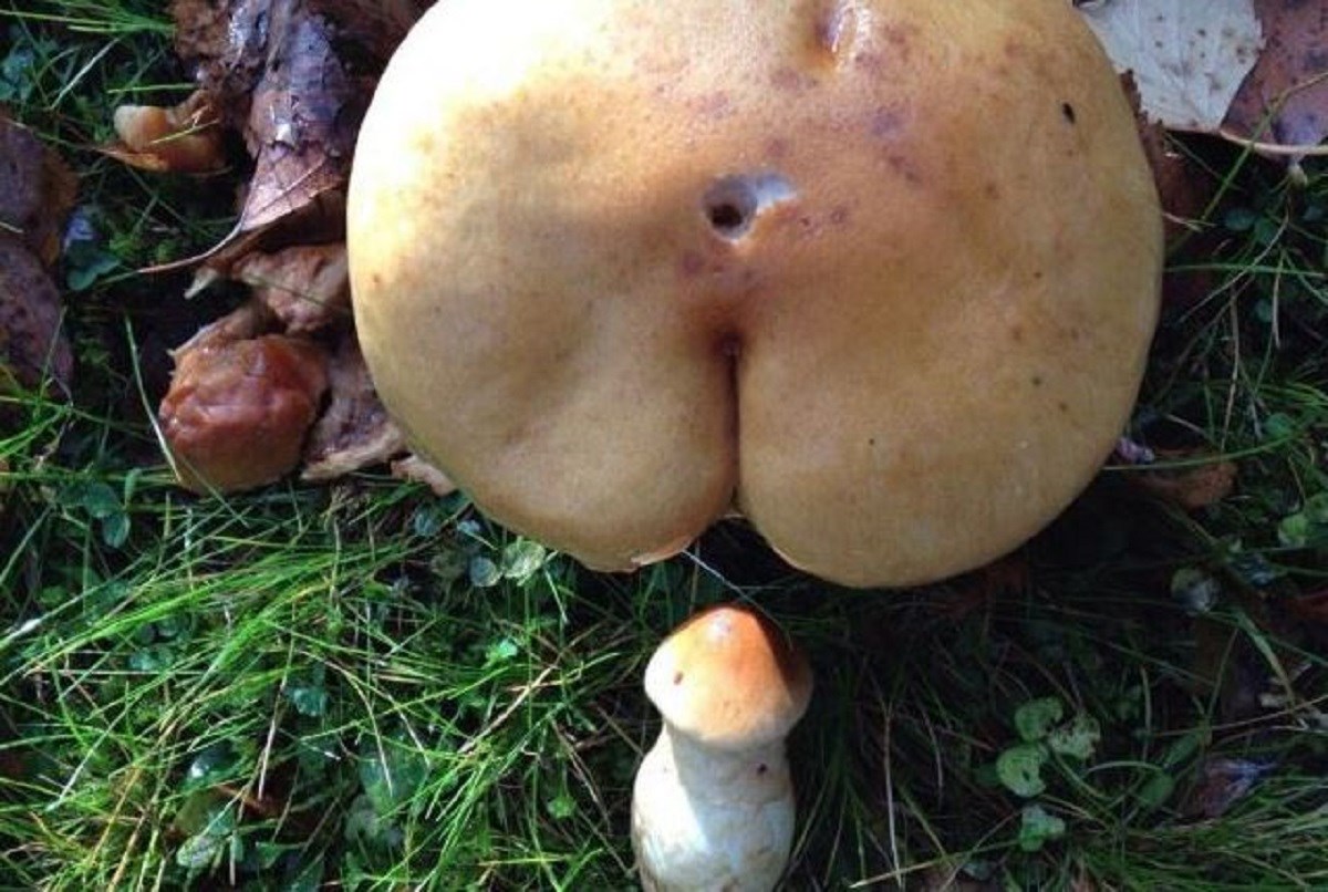 Baš ni jedna od ovih 17 fotki nije prosta, iako bi vam sve mogle izgledati tako