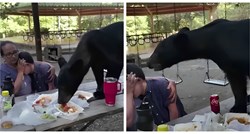 10 mil. pregleda: Medvjed upao na slavlje i počeo jesti, ljudi hvale reakciju majke