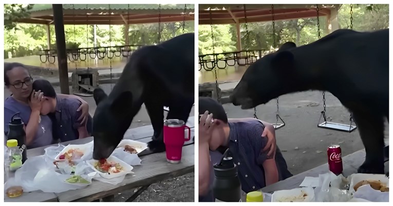 10 mil. pregleda: Medvjed upao na slavlje i počeo jesti, ljudi hvale reakciju majke 