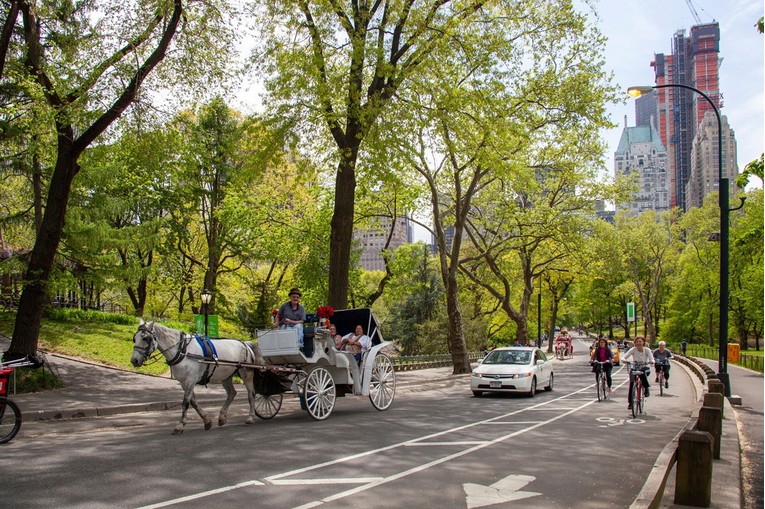 New York ukida vožnje kočijama 