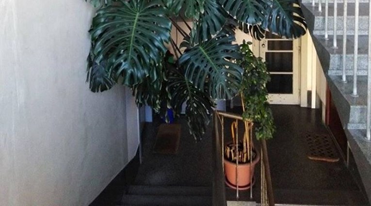 "To je čudo": Krovopokrivač snimio predivan prizor na zagrebačkom stubištu