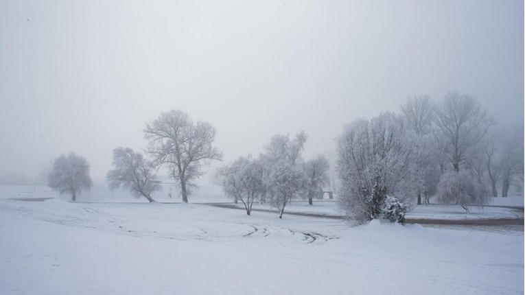 Majka u Rusiji ostavila golu djecu u šumi na minus 15