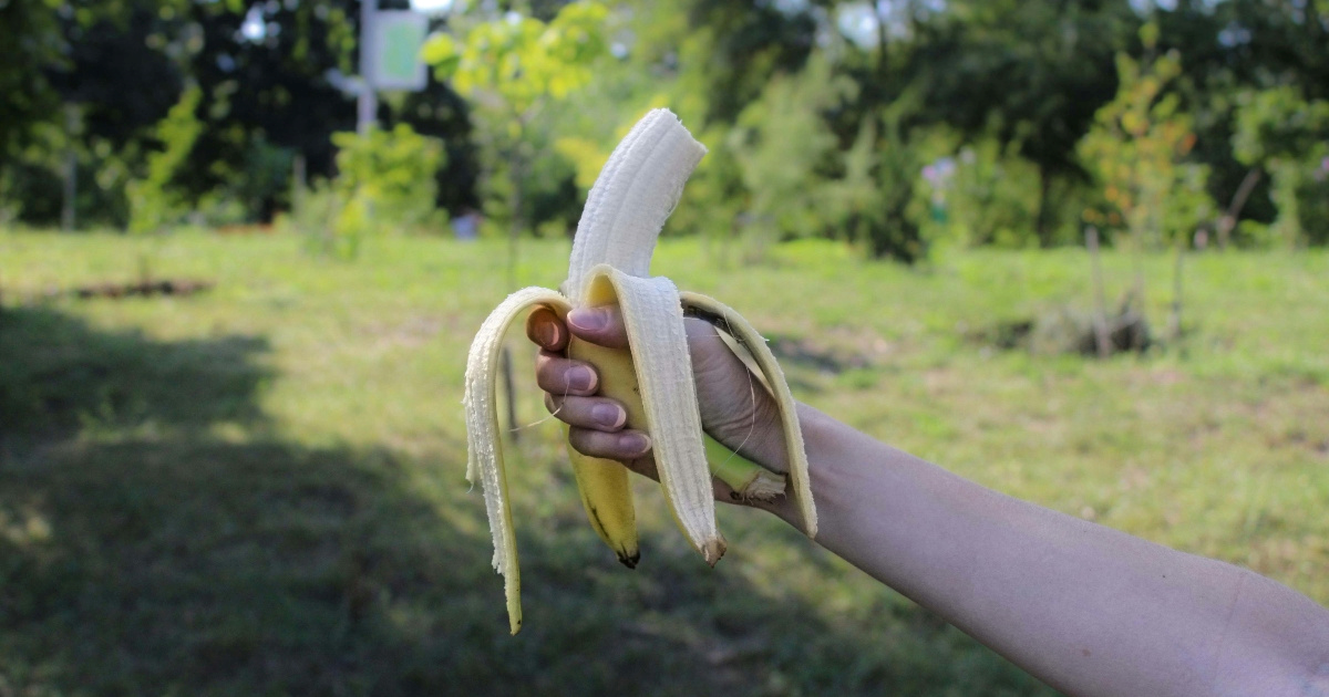 Kako banane utječu na energiju i zdravlje ovisno o dobu dana kada ih jedete?