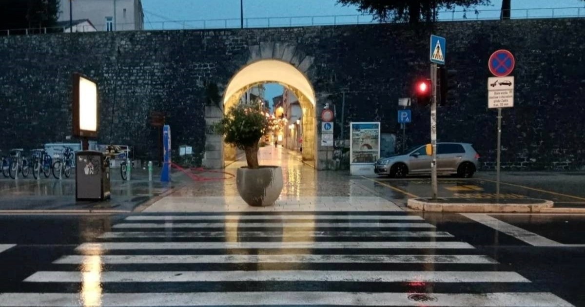 Misterij u Zadru: Kako se tegla s maslinom pojavila na pješačkom prijelazu kod mosta?