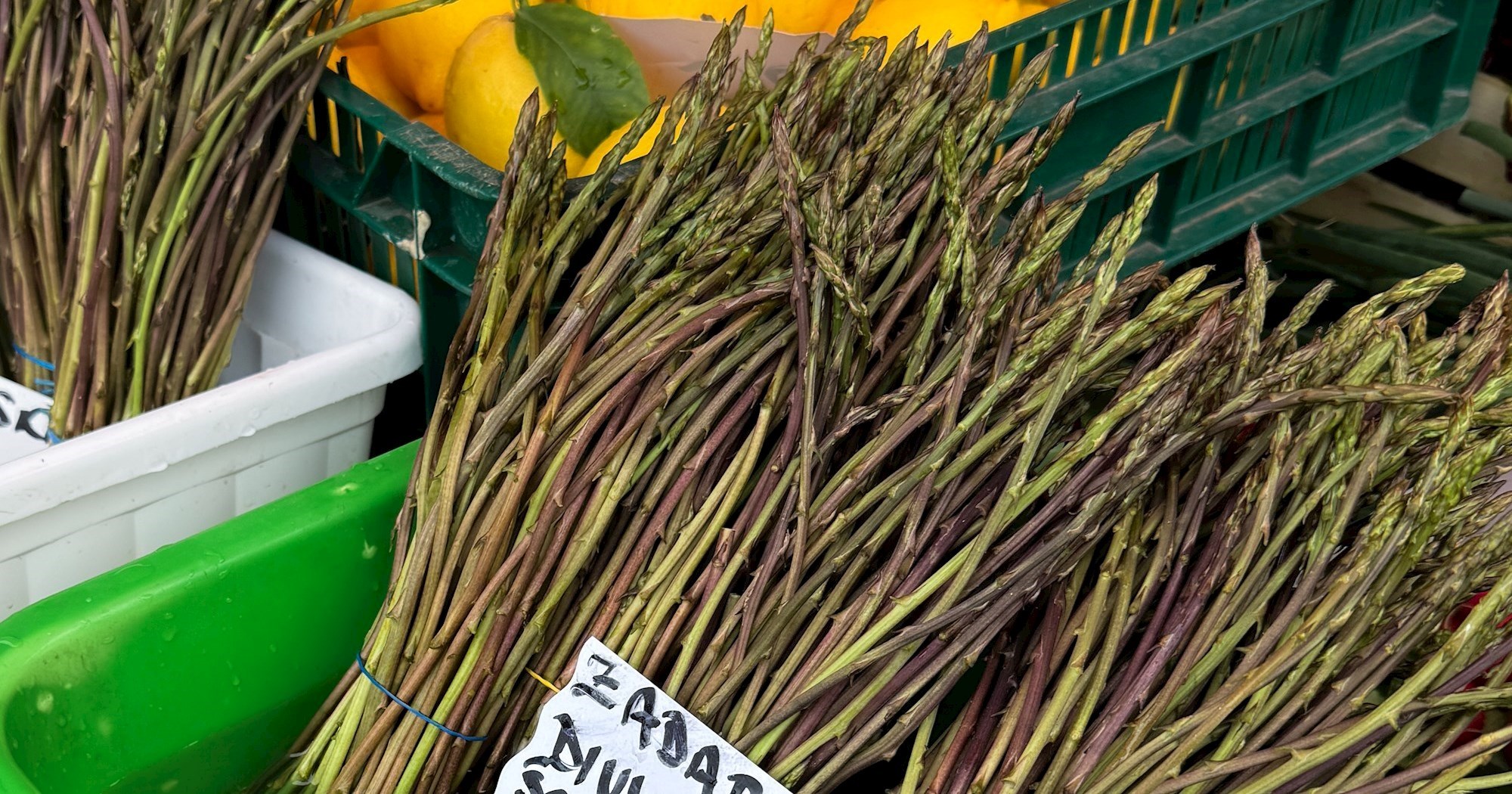 Podijelila 25 vezica šparoga šibenskim umirovljenicima: "7 eura? Što ih neko gnoji?"