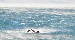Valentino iz Makarske kupa se u moru i dok puše olujna bura