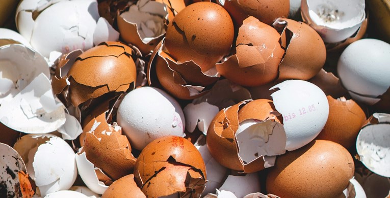 Ljuske jaja mogu se iskoristiti kao gnojivo za razne biljke, evo kako