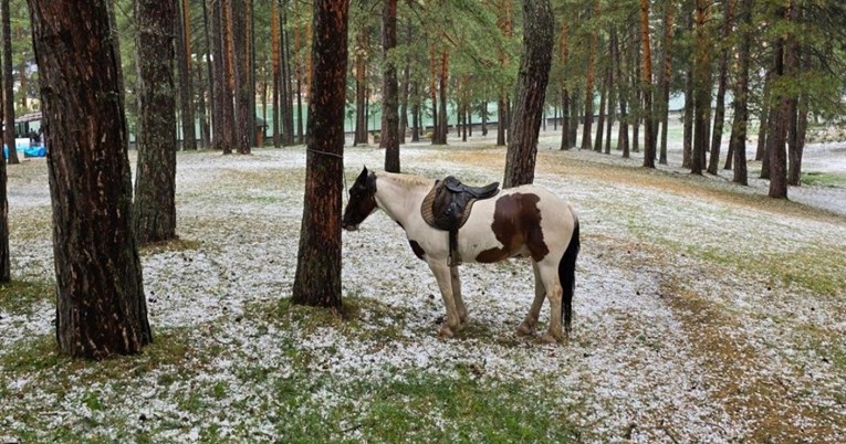 Najtužniji prizor dana: Netko je usred nevremena u Srbiji ostavio konja