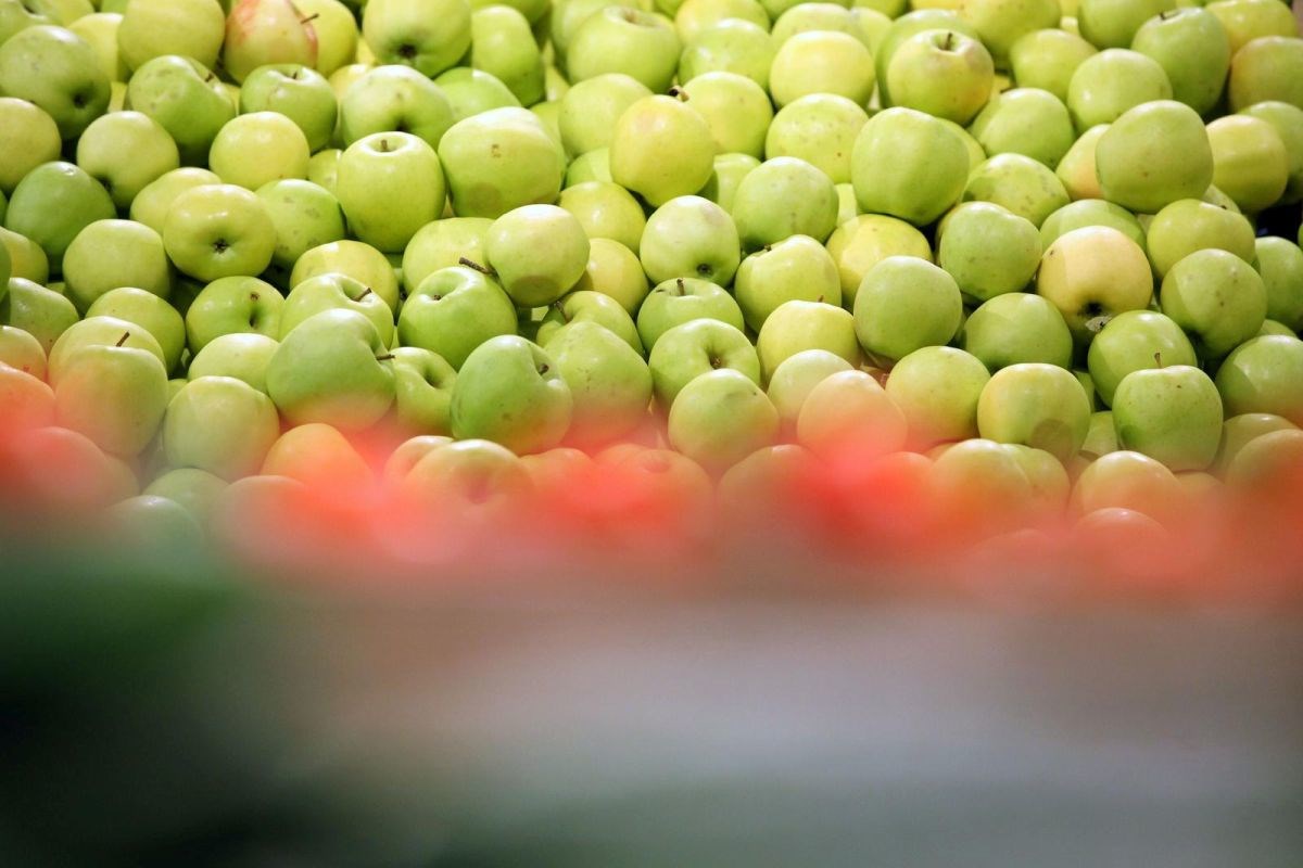Toksični "kokteli" pesticida pronađeni u jabukama diljem Europe