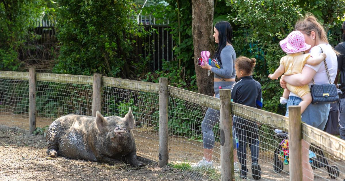 Britanski ZOO reklamirao "Child Predator Tour", ljudi su bili šokirani