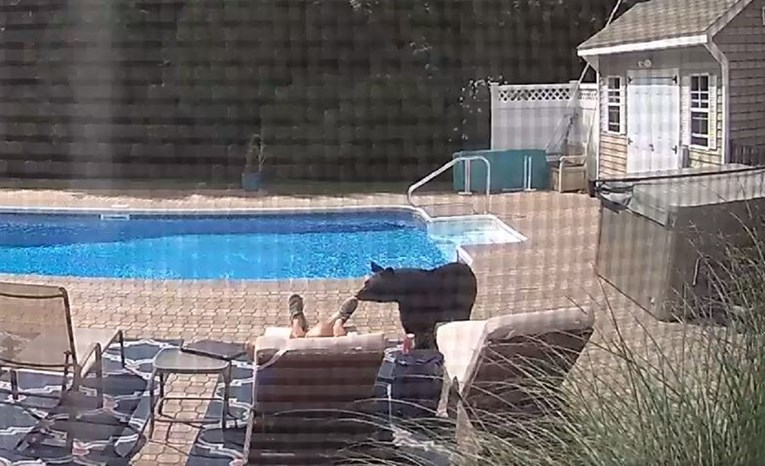 Žena mu nije vjerovala što ga je probudilo iz sna kraj bazena: "Pogledaj snimku"