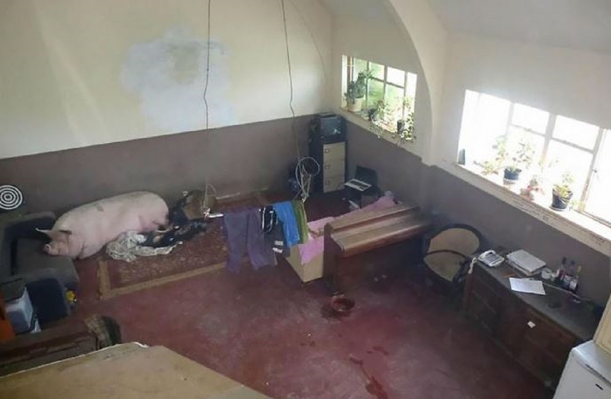 29 fotografija agenata za nekretnine za koje je teško povjerovati da su stvarne