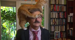 Povjesničaru se mačka doslovno popela na glavu dok je davao ozbiljan intervju