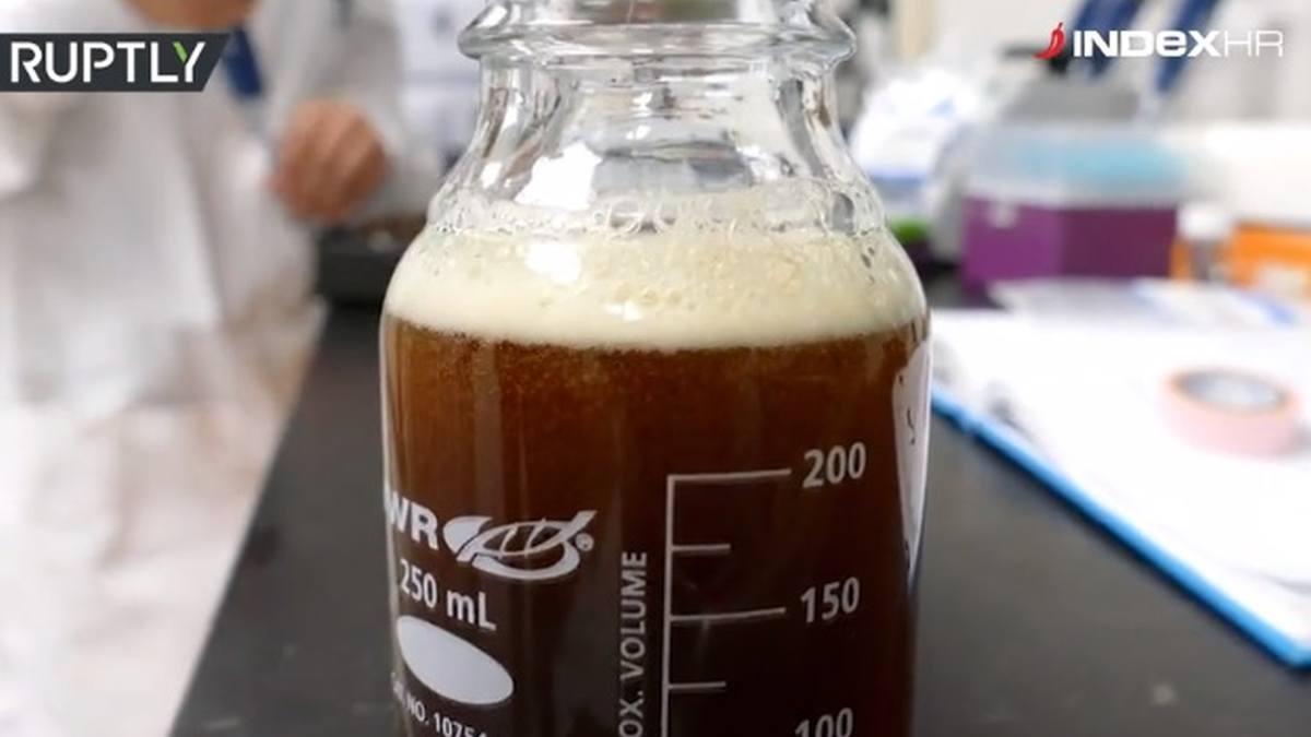 VIDEO Stiže prvo pivo od kanabisa: "Udara brzo"