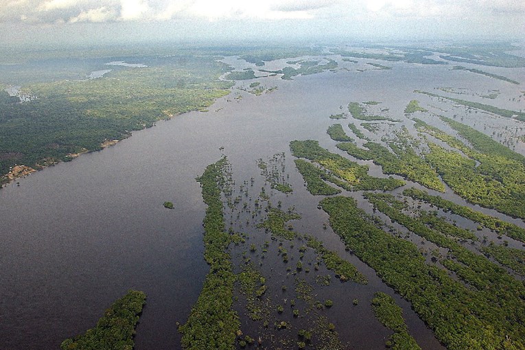 U Brazilu se i dalje uništavaju prašume