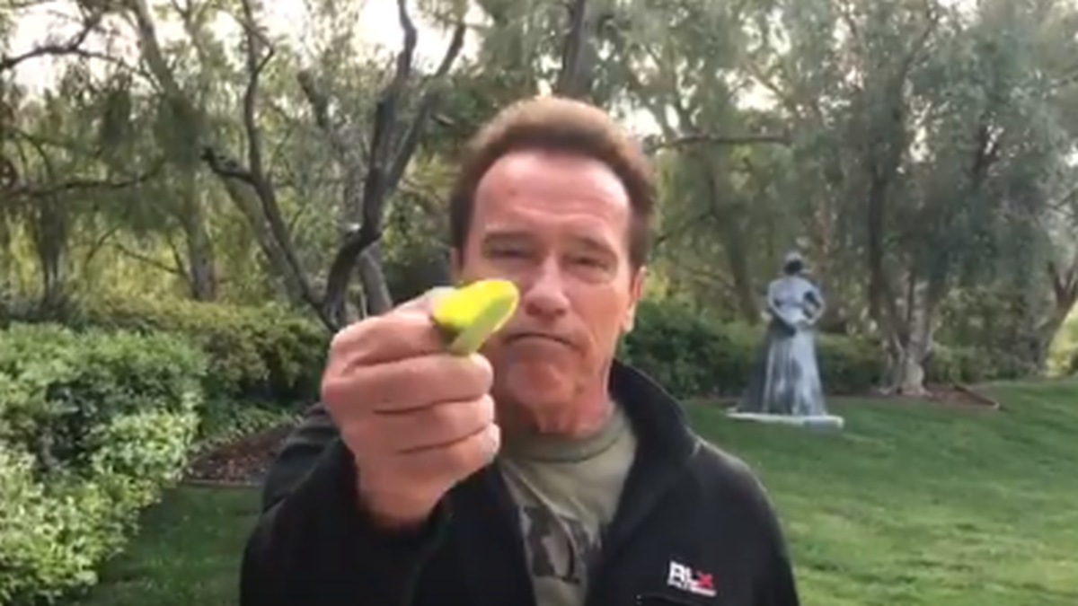 Arnold Schwarzenegger prihvatio izazov UN-a i napravio nešto što bismo svi trebali