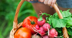 Hrvatska poljoprivredna komora pozvala ljude da kupuju hrvatsko povrće