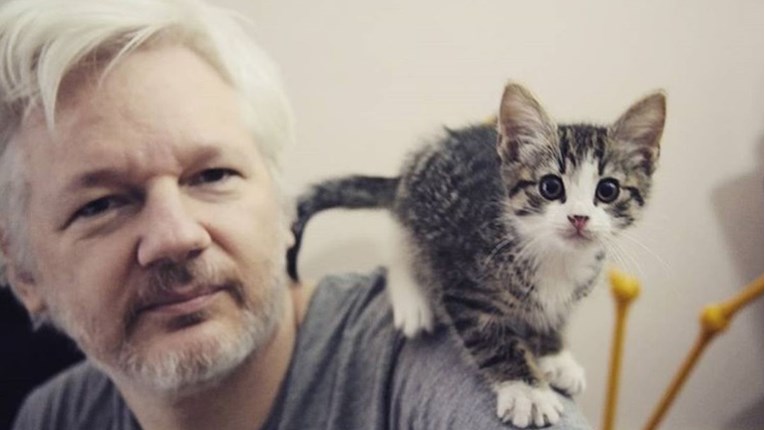 Što se dogodilo s Assangeovim mačkom nakon što je on uhićen?