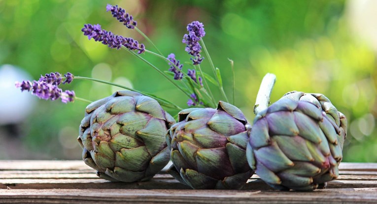 Zeleno ružičasti pupoljci za zdravlje: Artičoka nije samo ukusna!